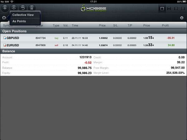 iPad Trader Positions Section